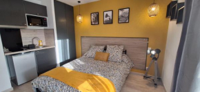 Charmant studio le prestige Lourdes